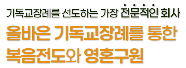 가장튼튼한회사 자본금 255억 지급여력비율 196.3%