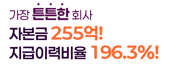 가장튼튼한회사 자본금 255억 지급여력비율 196.3%